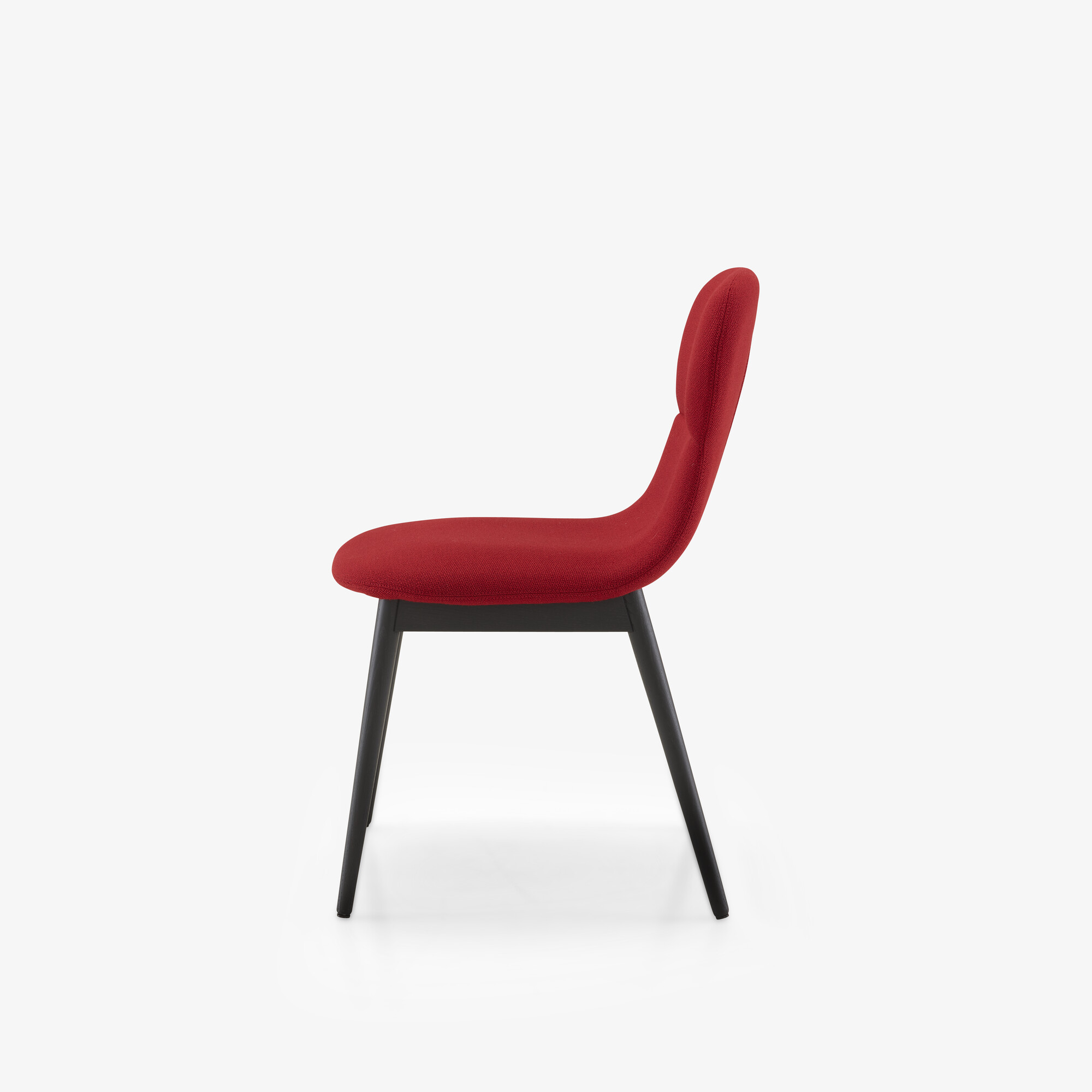 Silvio / silvia Chair - silvio choice of fabrics